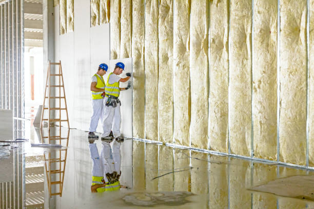 Types of Insulation We Offer in Cologne, NJ